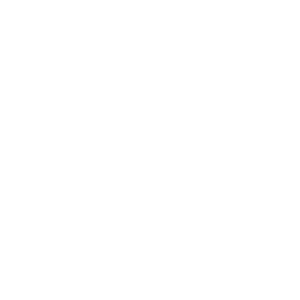 liv-logo.png