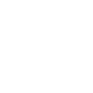 puel2.png